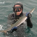 Finales del Campeonato de Catalunya de Pesca Submarina (España)