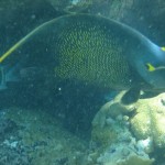 La Tortuga: un hermoso paisaje marino