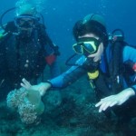 Buceo para discapacitados: Bajo el mar no hace falta silla de ruedas