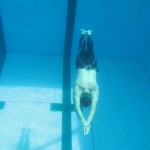 Ego Possum. Circuito de apnea sin aletas 2008 en Venezuela. Ambar Peralta logra nuevo récord nacional