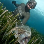 Qué debemos defender los pescadores submarinos