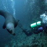3er Encuentro Nacional de Buceo en Chile