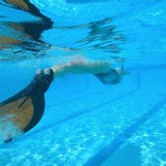 Resultados 2da Ronda IV Copa del Mundo de Natación con Aletas CMAS