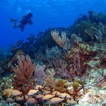 Buceo en Aruba
