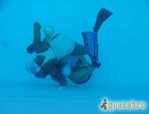 guasabro5