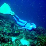 Festival de Buceo, Seminario de Fotografía Submarina Digital y Semana de la Apnea en Bonaire