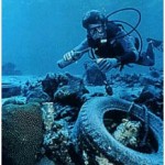 Buceo Ecológico