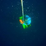 Nuevo Récord Suramericano de Apnea Peso Variable femenino por Karol Meyer