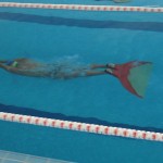 Golden Final de la Copa del Mundo CMAS de Natación con Aletas en Valencia, España
