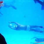Orcas de Antioquia repite título en 3ra Parada Nacional Interclubes de Rugby Subacuático de Colombia