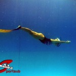 Inicia Campeonato Nacional de Actividades Subacuáticas de Venezuela