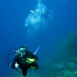 Seminario Taller para instructores de Buceo CMAS en Colombia