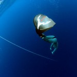 Mundial de apnea por equipos AIDA 2010 será en Japón en Julio