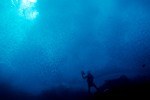 Cimarq-Quintay se consolida como Centro de Buceo Científico en Chile