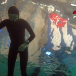 3ra Copa Panamericana de Actividades Subacuáticas de CMAS Zona América