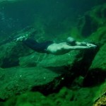 Carlos Coste intentará nuevo Record Guiness. La apnea más larga en una cueva.