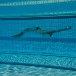 Los deportes subacuáticos ganan espacios en países Latinoamericanos