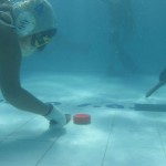 Equipo de Mendoza gana por primera vez un Torneo de Hockey Subacuático en Argentina