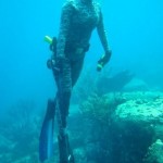 1era Válida Nacional de Pesca Submarina 2010 y Operativo porte de arpón en Venezuela