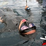 Resultados del Campeonato Nacional de Apnea de Profundidad AIDA 2010 en Venezuela
