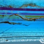 Resultados del Campeonato Europeo de Natación con Aletas CMAS 2010