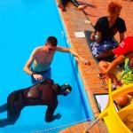 Apneista venezolano Alejandro Guédez obtiene 2do lugar en Apnea Estática en Competencia Internacional en Egipto