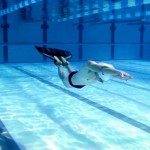 Nuevo Récord Mundial Apnea 16x50m por Brice Lequette de Francia