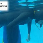 Calendario Deportivo Federación Venezolana de Actividades Subacuáticas 2011