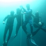 Noticias de la Federación Mexicana de Actividades Subacuáticas - FMAS