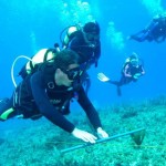 Participaron investigadores de cinco países en el Curso Internacional de Buceo Científico CMAS Zona América