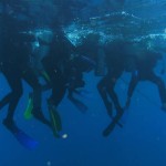 Celebrará FMAS Congreso Técnico Nacional en Cozumel, México