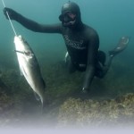 55 Campeonato Individual de Pesca Submarina de España