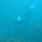 Panamericano de Pesca Submarina CMAS Zona América 2011 se llevará a cabo en Perú