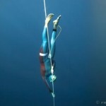 Finaliza el Campeonato Mundial de Apnea de Profundidad AIDA 2011 con nuevo Récord Mundial