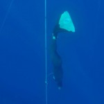 1er día de Competencias en la Copa Mediterranea de Apnea en Grecia