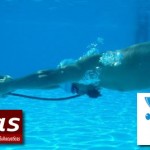 Resultados II Juegos FEDECAS de Actividades Subacuáticas en Colombia. Valle Campeón