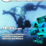 5to Curso Internacional de Buceo Científico CMAS América México 2012