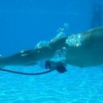 Selección Colombia de Natación con Aletas con sus mejores exponentes en el Panamericano Cali 2012