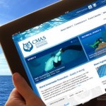Confederación Mundial de Actividades Subacuáticas lanza nueva imagen en la web