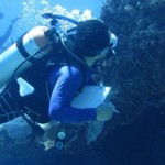 Culminó con éxito el 5to. Curso Internacional de Buceo Científico FMAS-CMAS Zona América