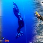 2 Nuevos Récords Mundiales de Apnea de Profundidad CMAS para el italiano Homar Leuci
