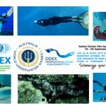 ODEX / World Underwater Games 2013 - Juegos Mundiales Subacuáticos en Australia