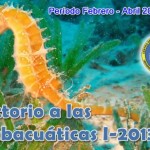 CASA-UCV abre inscripciones para Curso Introductorio a las Actividades Subacuaticas Febrero-Abril 2013 en Caracas, Venezuela