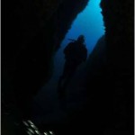 México estará presente en el Campeonato Mundial de Fotografía Subacuática