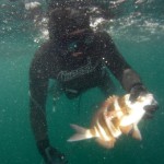 Resultados del LVII Campeonato de España de Pesca Submarina Gijón 2013