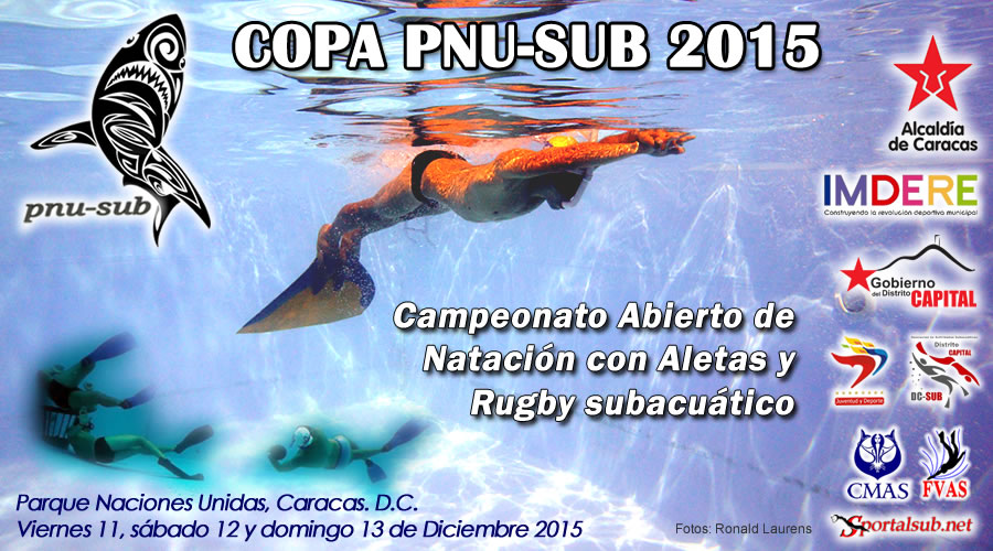 copapnusub2015