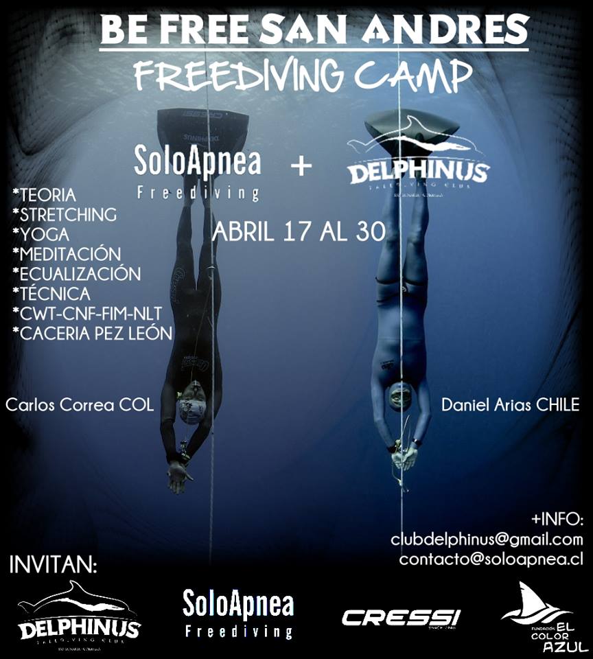 befreesanandresfreediving