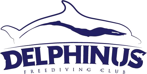 delphinus