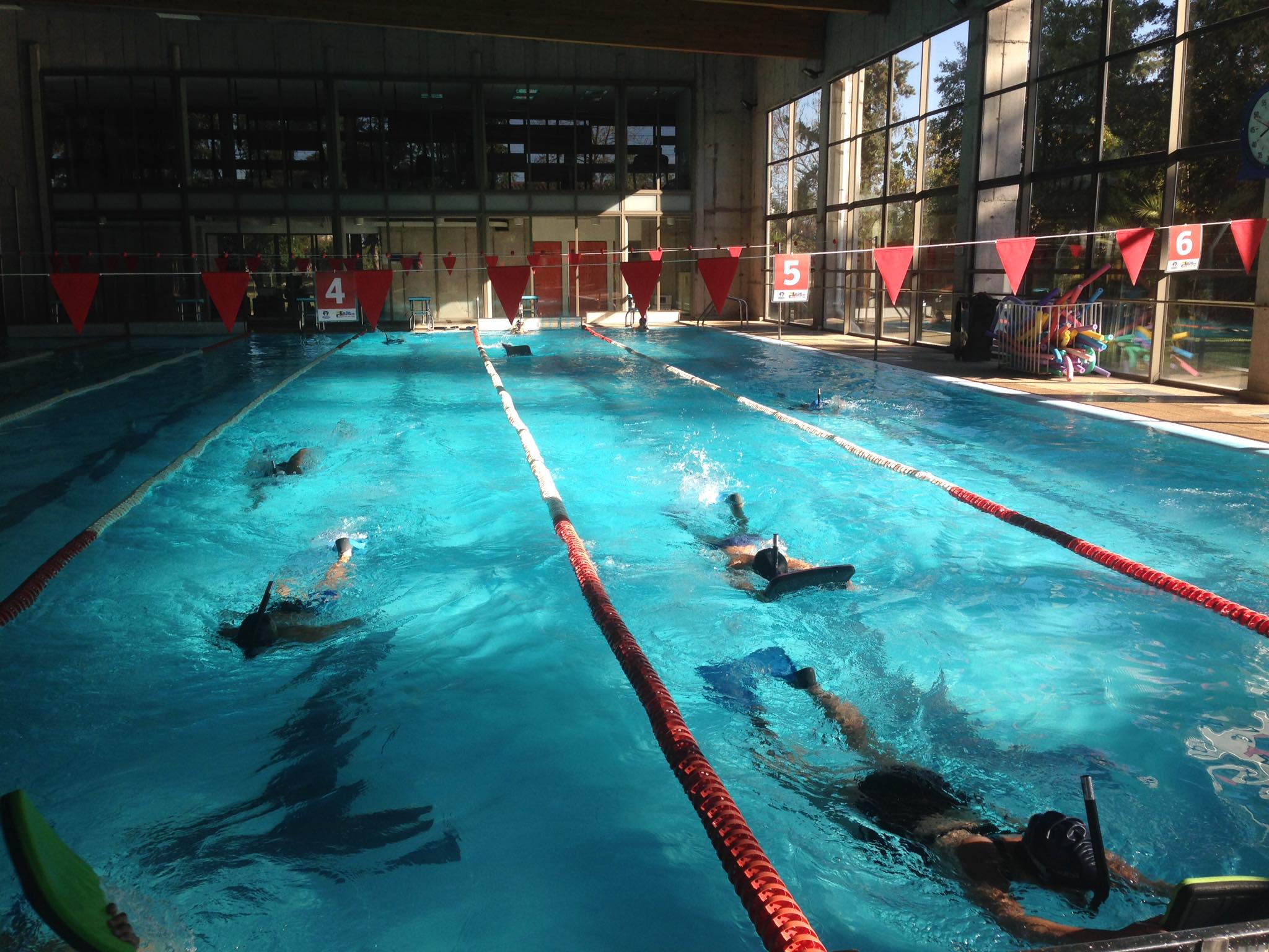 natacion-con-aletas-san-bernardo